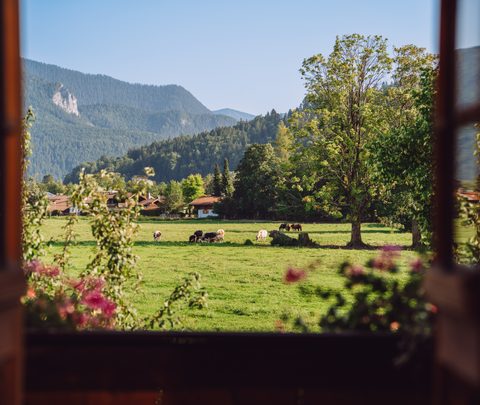 Blick durch ein offenes Fenster auf eine Wiese mit Kühen, Bäumen und Bergen im Hintergrund.