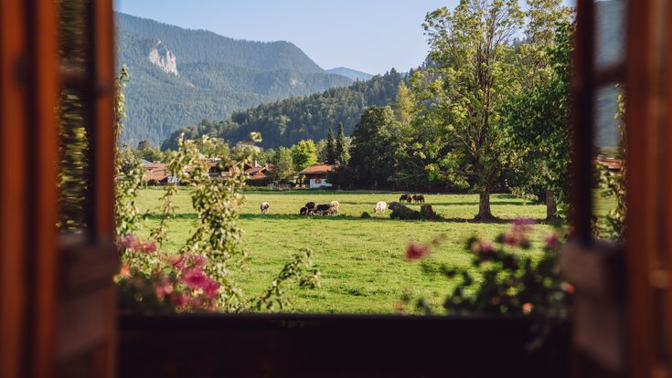Blick durch ein offenes Fenster auf eine Wiese mit Kühen, Bäumen und Bergen im Hintergrund.
