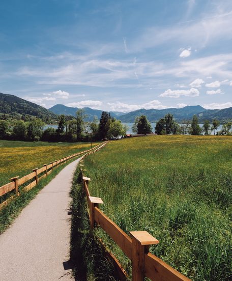 Narrow path between meadows with wooden fence, with lake and mountains under a blue sky.