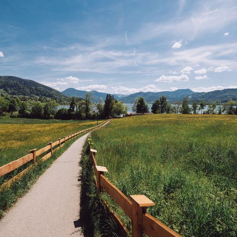Schmaler Weg zwischen Wiesen mit Holzzaun, dahinter See und Berge unter blauem Himmel.