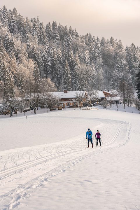 Two cross-country skiers on a snowy trail in front of a house and snow-covered forest.