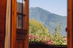 Blick aus einem Zimmer durch eine offene Balkontür auf einen bewaldeten Berg, Bäume und Blumen.